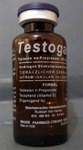 testogar
