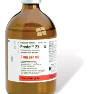 predef 2x 100ml