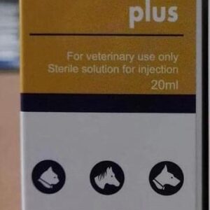 BEDEXA PLUS