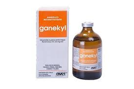 Ganekly
