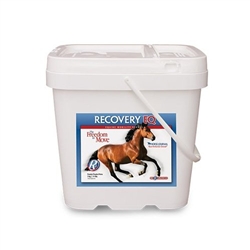 Recovery EQ Powder, 11 lbs