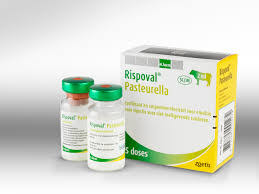 Rispoval Pasteurella 25d