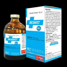 DEXAVET