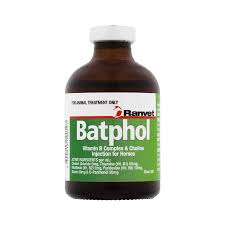 Batphol