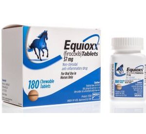 EQUIOXX