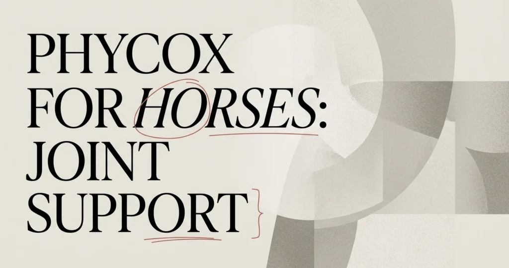 Phycox for Horses: Joint Support Explained