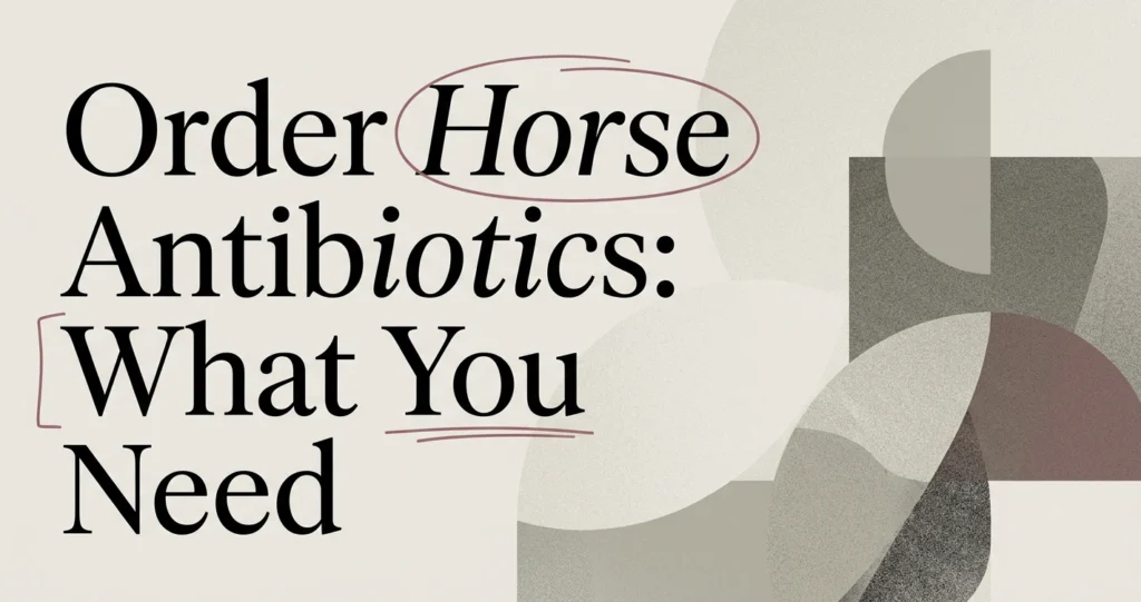 Order Horse Antibiotics: What You Need to Know